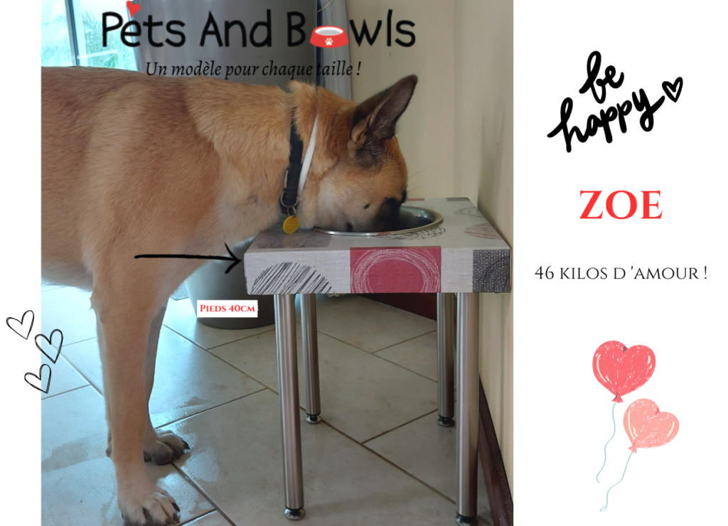 Zoe pets and bowls